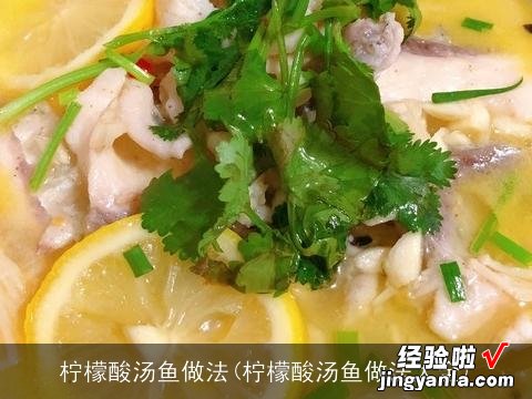 柠檬酸汤鱼做法大全 柠檬酸汤鱼做法