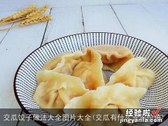 交瓜有什么营养价值 交瓜饺子做法大全图片大全