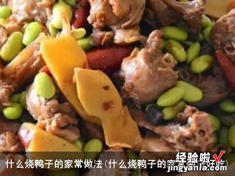 什么烧鸭子的家常做法好吃 什么烧鸭子的家常做法