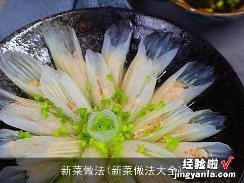 新菜做法大全 新菜做法