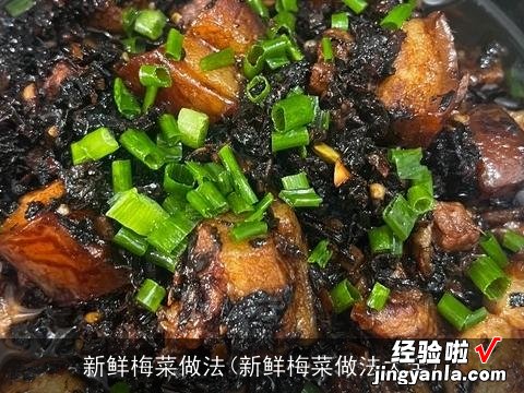 新鲜梅菜做法大全 新鲜梅菜做法