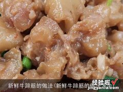 新鲜牛蹄筋的做法大全 新鲜牛蹄筋的做法