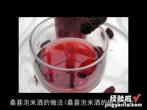 桑葚泡米酒的做法大全 桑葚泡米酒的做法