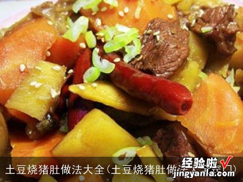 土豆烧猪肚做法大全窍门 土豆烧猪肚做法大全