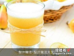 梨汁做法大全 梨汁做法