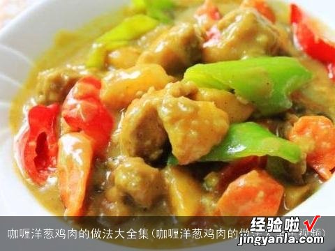 咖喱洋葱鸡肉的做法大全集视频 咖喱洋葱鸡肉的做法大全集