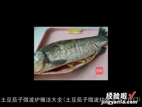 土豆茄子微波炉做法大全窍门 土豆茄子微波炉做法大全