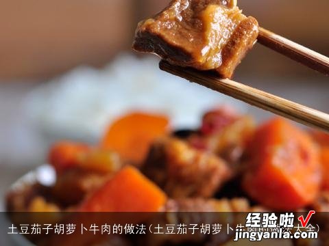 土豆茄子胡萝卜牛肉的做法大全 土豆茄子胡萝卜牛肉的做法