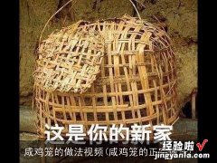 咸鸡笼的正宗做法 咸鸡笼的做法视频