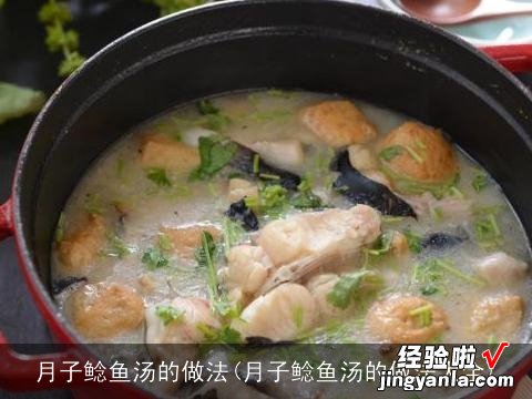 月子鲶鱼汤的做法大全 月子鲶鱼汤的做法