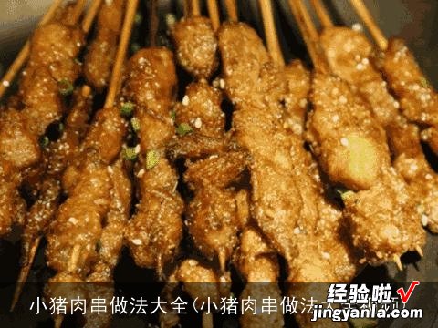 小猪肉串做法大全视频 小猪肉串做法大全