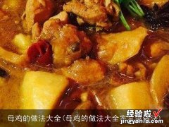 母鸡的做法大全家常菜做法 母鸡的做法大全