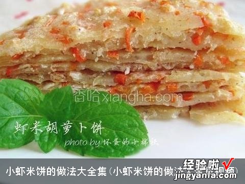 小虾米饼的做法大全集视频 小虾米饼的做法大全集