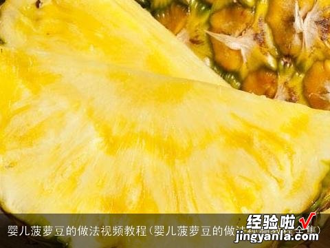 婴儿菠萝豆的做法视频教程全集 婴儿菠萝豆的做法视频教程