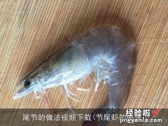 节尾虾的做法 尾节的做法视频下载