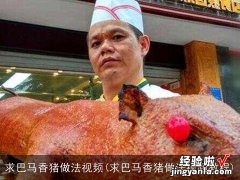 求巴马香猪做法视频教程 求巴马香猪做法视频