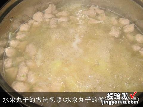 水氽丸子的做法视频教程 水氽丸子的做法视频