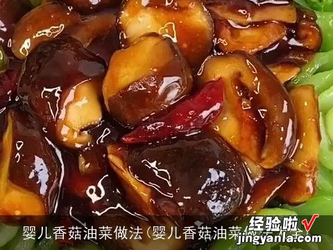 婴儿香菇油菜做法大全 婴儿香菇油菜做法