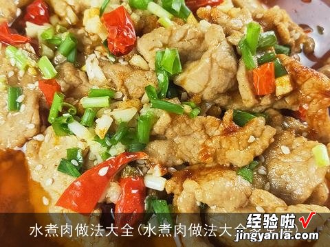 水煮肉做法大全家常菜 水煮肉做法大全