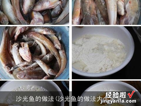 沙光鱼的做法大全家常 沙光鱼的做法