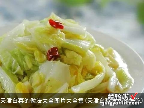 天津白菜怎么做好吃 天津白菜的做法大全图片大全集