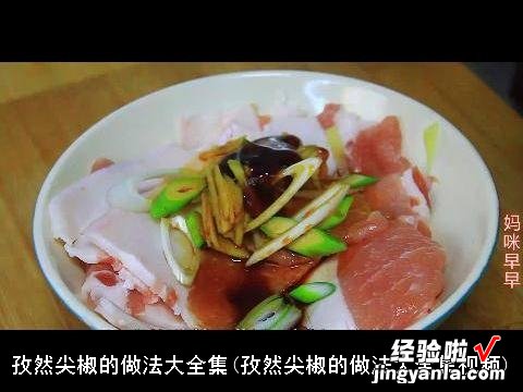 孜然尖椒的做法大全集视频 孜然尖椒的做法大全集