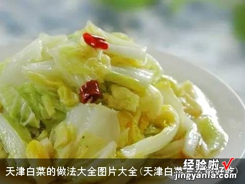 天津白菜怎么做好吃 天津白菜的做法大全图片大全