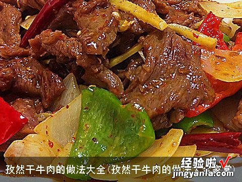 孜然干牛肉的做法大全家常 孜然干牛肉的做法大全