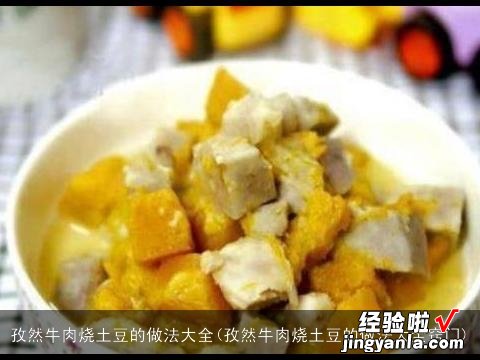 孜然牛肉烧土豆的做法大全窍门 孜然牛肉烧土豆的做法大全