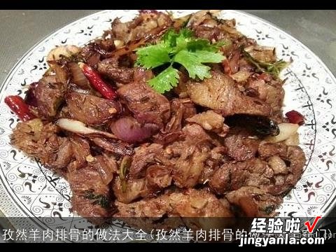 孜然羊肉排骨的做法大全窍门 孜然羊肉排骨的做法大全