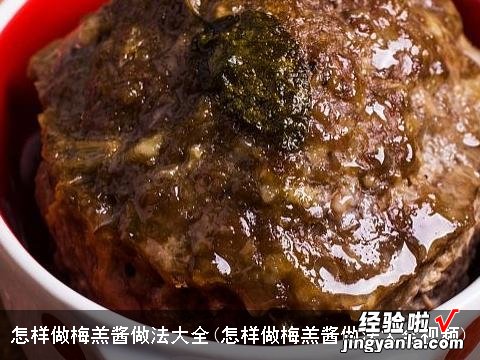 怎样做梅羔酱做法大全视频 怎样做梅羔酱做法大全