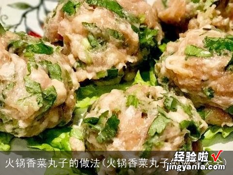 火锅香菜丸子的做法大全 火锅香菜丸子的做法