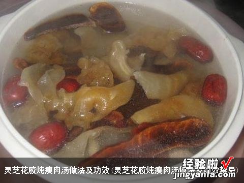 灵芝花胶炖瘦肉汤做法及功效禁忌 灵芝花胶炖瘦肉汤做法及功效