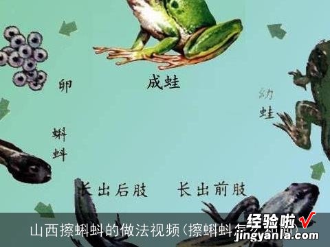 擦蝌蚪怎么和面 山西擦蝌蚪的做法视频