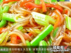 家常园菜炒粉做法大全集视频 家常园菜炒粉做法大全集