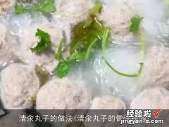 清汆丸子的做法视频 清汆丸子的做法