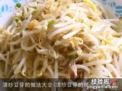 清炒豆芽的做法大全家常 清炒豆芽的做法大全