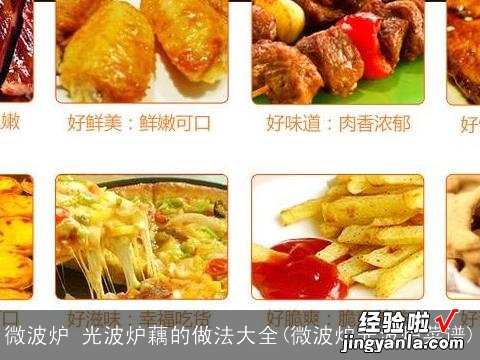 微波炉光波炉菜谱 微波炉 光波炉藕的做法大全