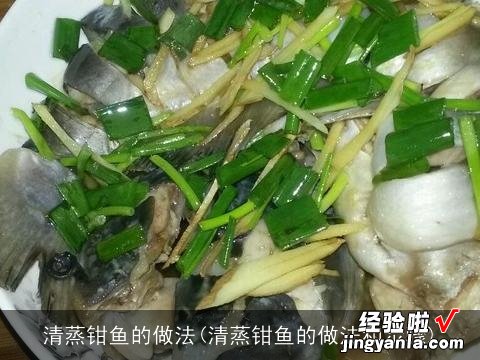 清蒸钳鱼的做法和步骤 清蒸钳鱼的做法