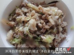 洋白菜炒米饭视频 洋洋白菜炒米饭的做法