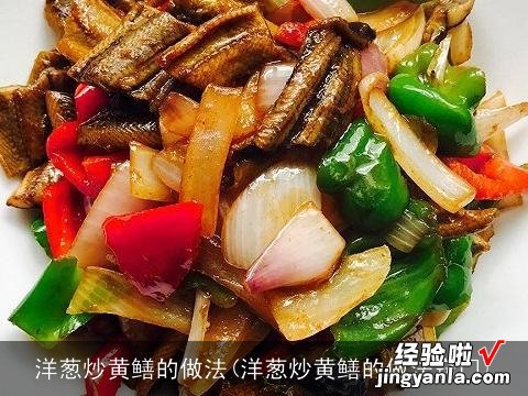 洋葱炒黄鳝的做法窍门 洋葱炒黄鳝的做法