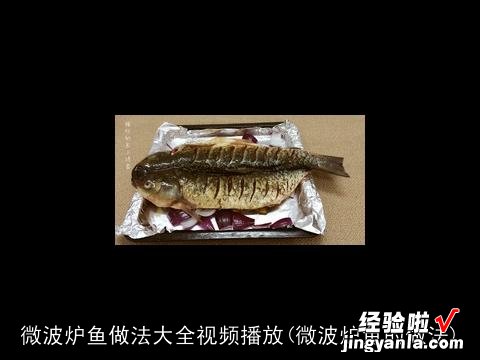 微波炉鱼的做法 微波炉鱼做法大全视频播放