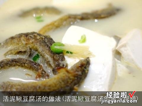 活泥鳅豆腐汤的做法视频 活泥鳅豆腐汤的做法