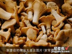 家常蘑菇图片 家蘑菇的做法大全及图片