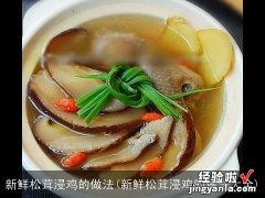 新鲜松茸浸鸡的做法大全 新鲜松茸浸鸡的做法