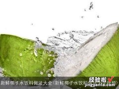 新鲜椰子水饮料做法大全视频 新鲜椰子水饮料做法大全