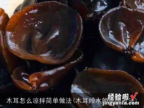 木耳焯水的正确方法 木耳怎么凉拌简单做法