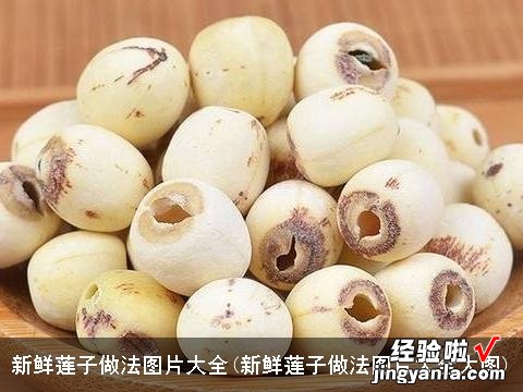 新鲜莲子做法图片大全大图 新鲜莲子做法图片大全