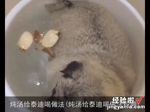 炖汤给泰迪喝做法视频 炖汤给泰迪喝做法