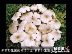 新鲜野生菌的做法大全集 新鲜野生菌的做法大全